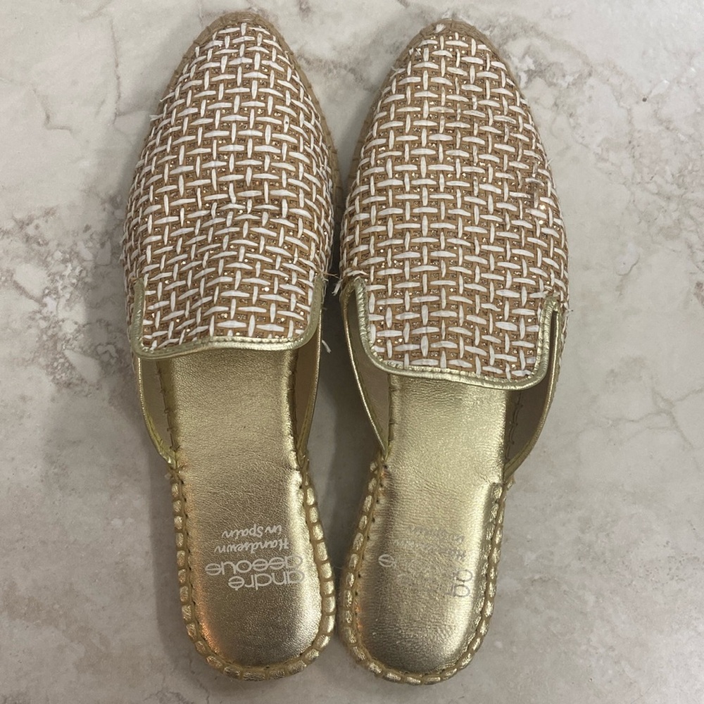 andre assous lucia slides
